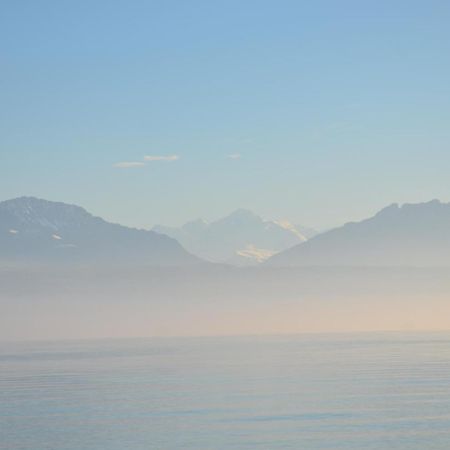 Bnb Chez Fanfan Morges Esterno foto