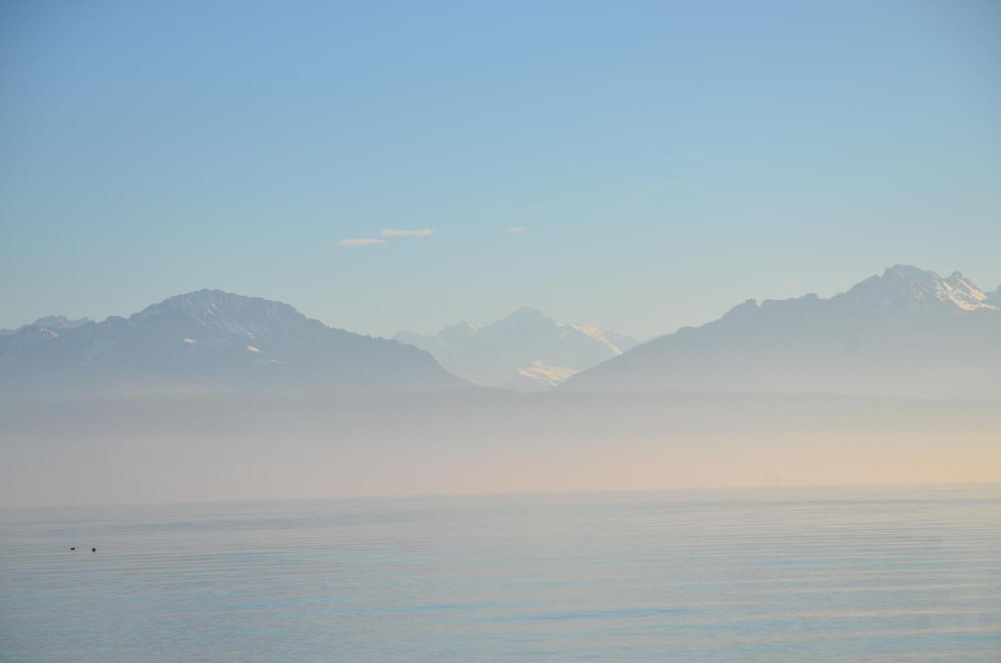 Bnb Chez Fanfan Morges Esterno foto